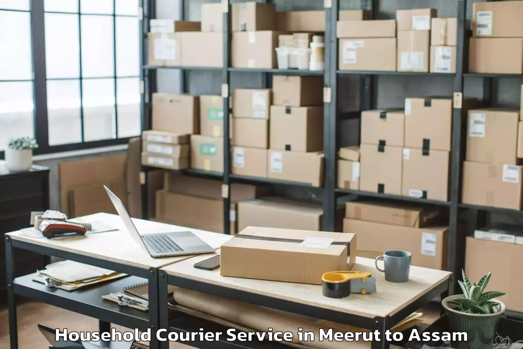 Affordable Meerut to Silapathar Household Courier